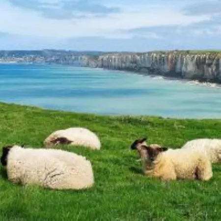 Διαμέρισμα L'elegante *